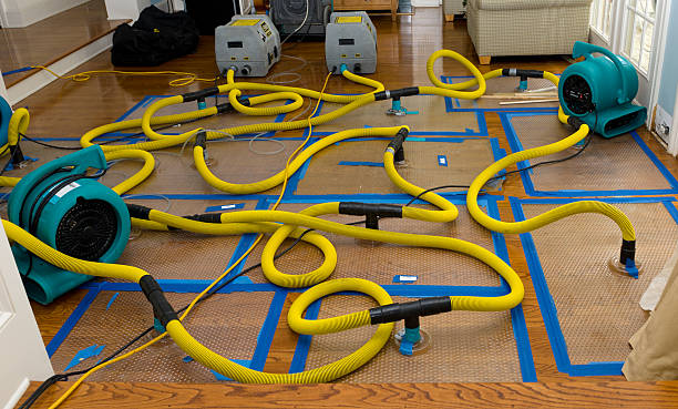 Professional Water Damage Restoration technician working in West Townsend, MA